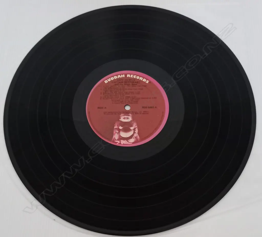 Captain Beefheart And The Magic Band, Safe As Milk Image 1++